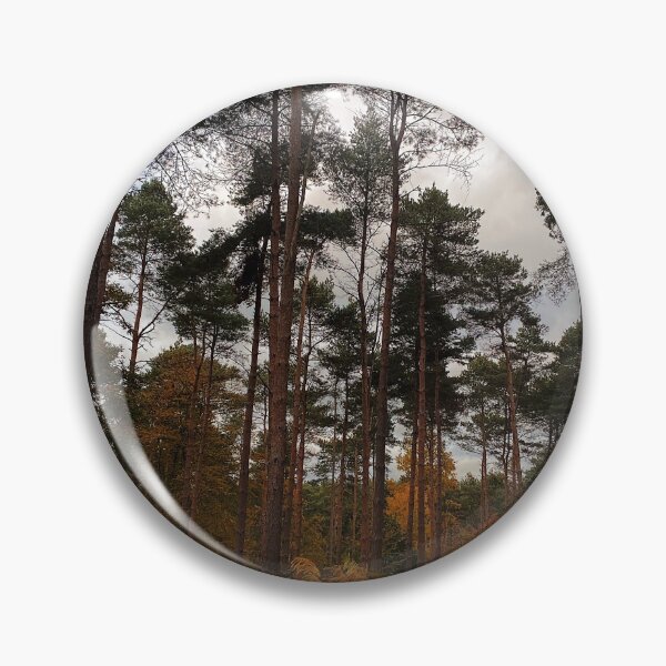Item preview, Forest Scene designed and sold by avxxgreen.