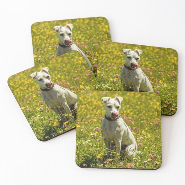Item preview, Roxy In The Buttercups designed and sold by Sandra Cockayne.