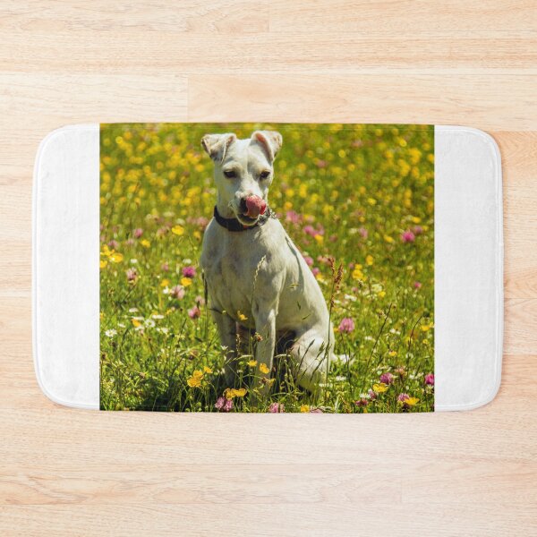 Item preview, Roxy In The Buttercups designed and sold by Sandra Cockayne.