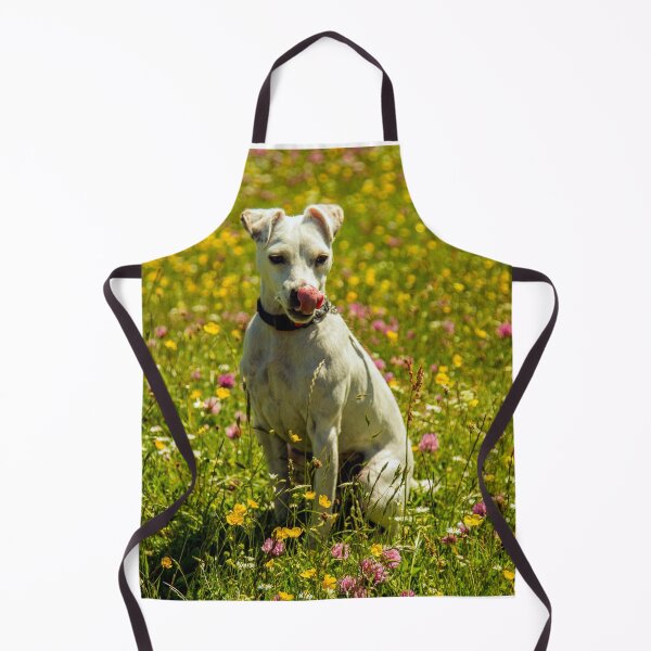 Item preview, Roxy In The Buttercups designed and sold by Sandra Cockayne.
