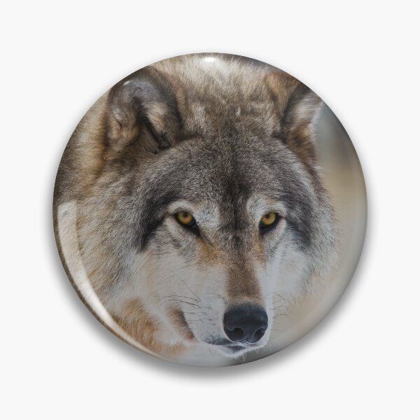 Item preview, Timber Wolf designed and sold by WolvesOnly.