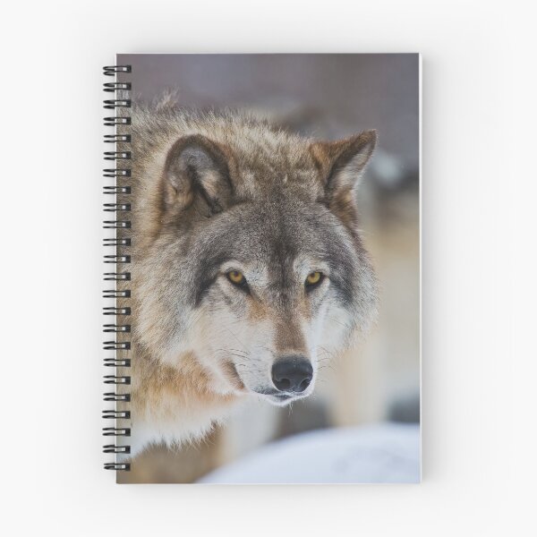 Artikelvorschau, Timber Wolf entworfen und verkauft von WolvesOnly.