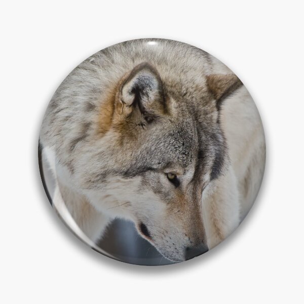 Item preview, Timber Wolf designed and sold by WolvesOnly.