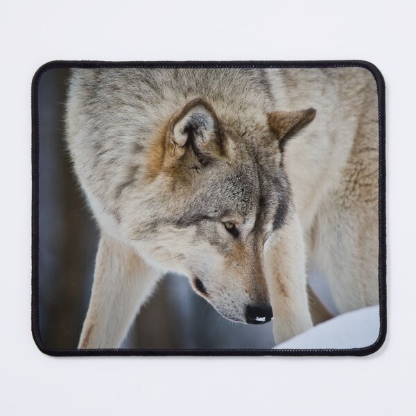 Item preview, Timber Wolf designed and sold by WolvesOnly.