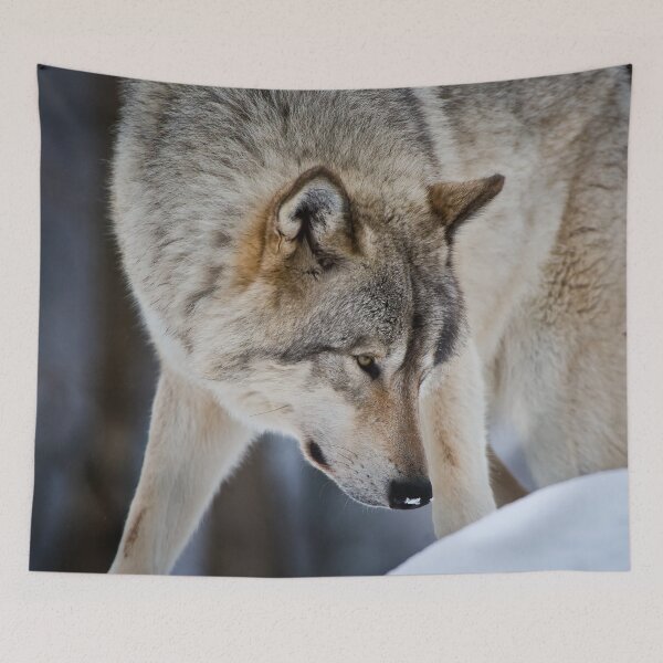 Item preview, Timber Wolf designed and sold by WolvesOnly.