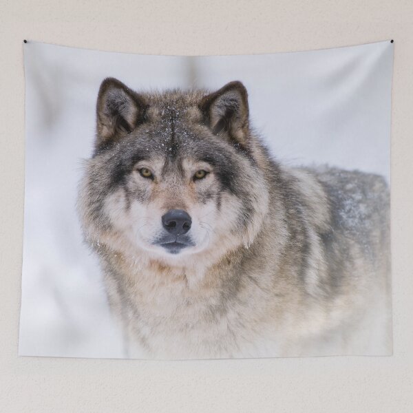 Item preview, Timber Wolf designed and sold by WolvesOnly.