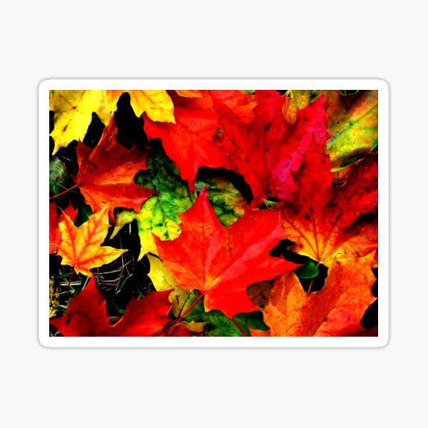 Item preview, Pretty Autumn Leaves designed and sold by Joseph Adorno.