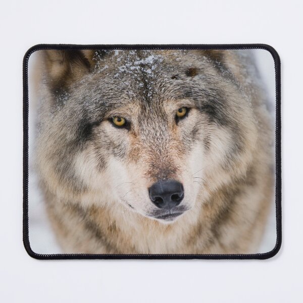 Item preview, Timber Wolf designed and sold by WolvesOnly.