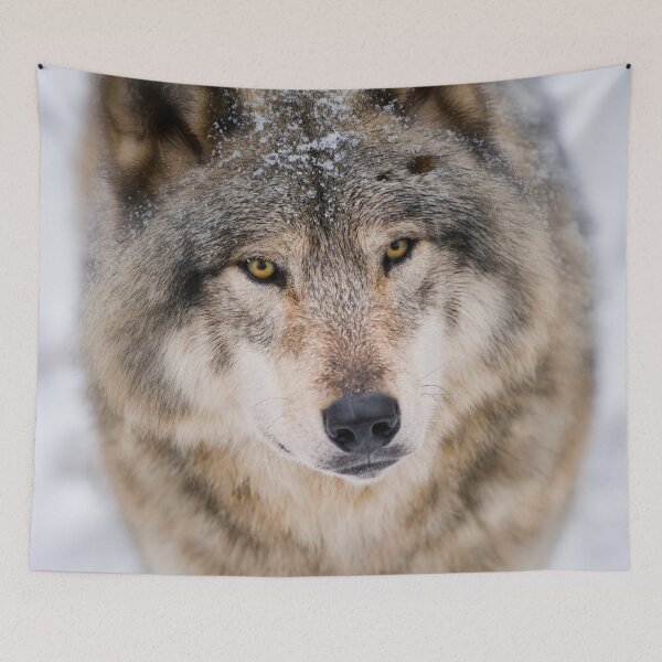 Item preview, Timber Wolf designed and sold by WolvesOnly.