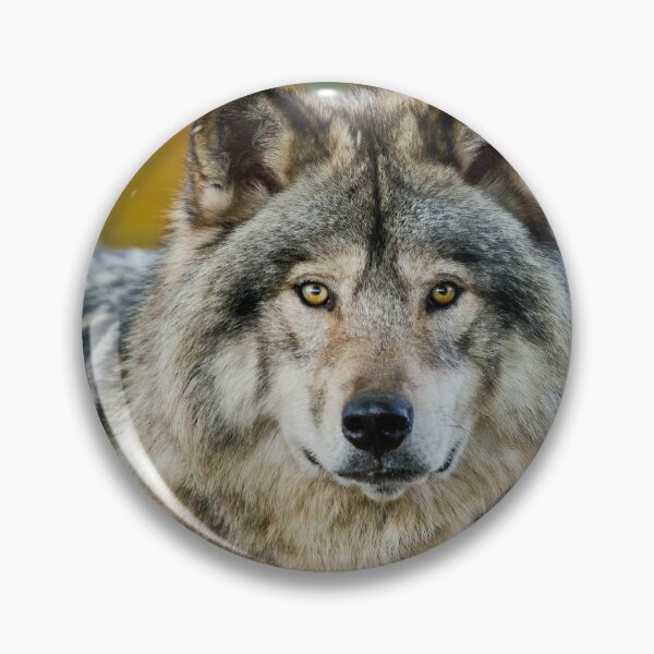 Item preview, Timber Wolf designed and sold by WolvesOnly.