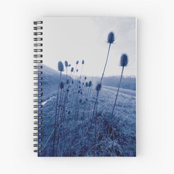 Item preview, Teasles on Pheseant Walk: Cyanotype 2 designed and sold by Catherine Stephenson.