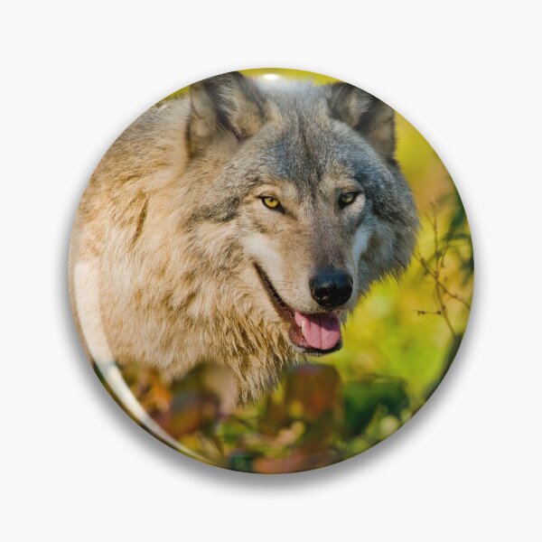 Item preview, Timber Wolf designed and sold by WolvesOnly.