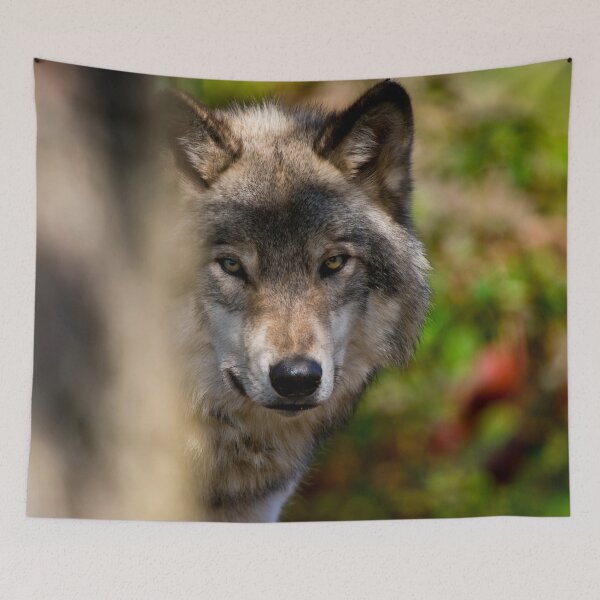 Item preview, Timber Wolf designed and sold by WolvesOnly.