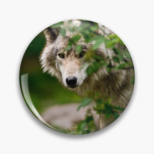Artikelvorschau, Timber Wolf entworfen und verkauft von WolvesOnly.