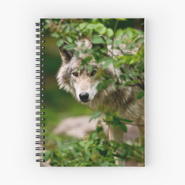 Artikelvorschau, Timber Wolf entworfen und verkauft von WolvesOnly.