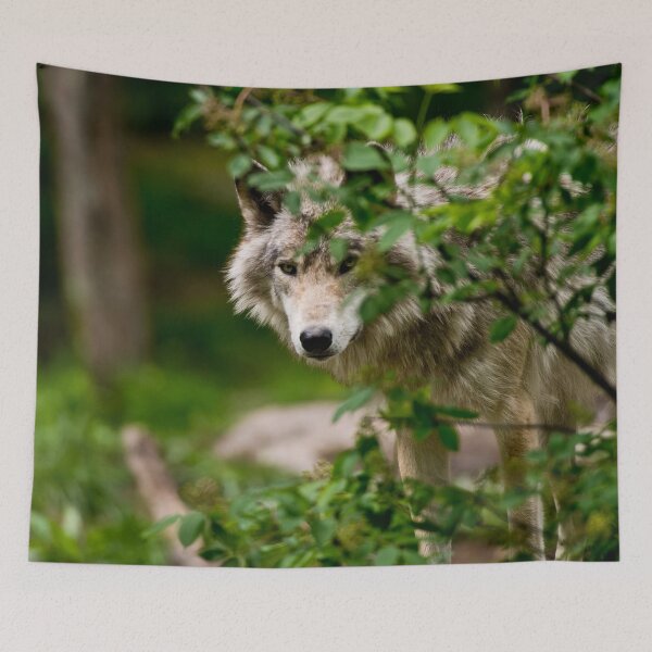 Item preview, Timber Wolf designed and sold by WolvesOnly.