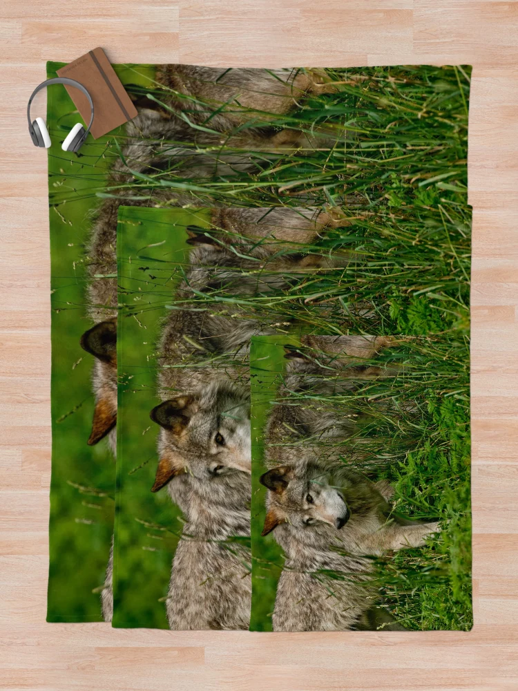 Thumbnail 5 of 6, Throw Blanket, Timber Wolves designed and sold by WolvesOnly.