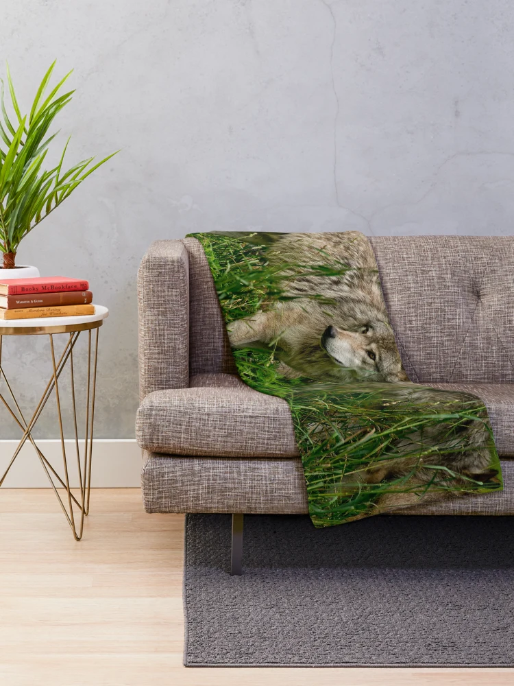 Thumbnail 2 of 6, Throw Blanket, Timber Wolves designed and sold by WolvesOnly.