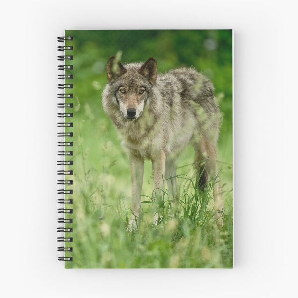 Artikelvorschau, Timber Wolf entworfen und verkauft von WolvesOnly.