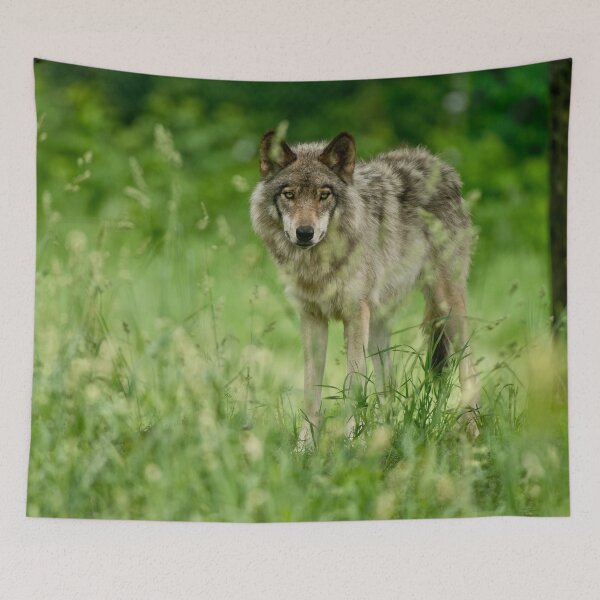 Artikelvorschau, Timber Wolf entworfen und verkauft von WolvesOnly.