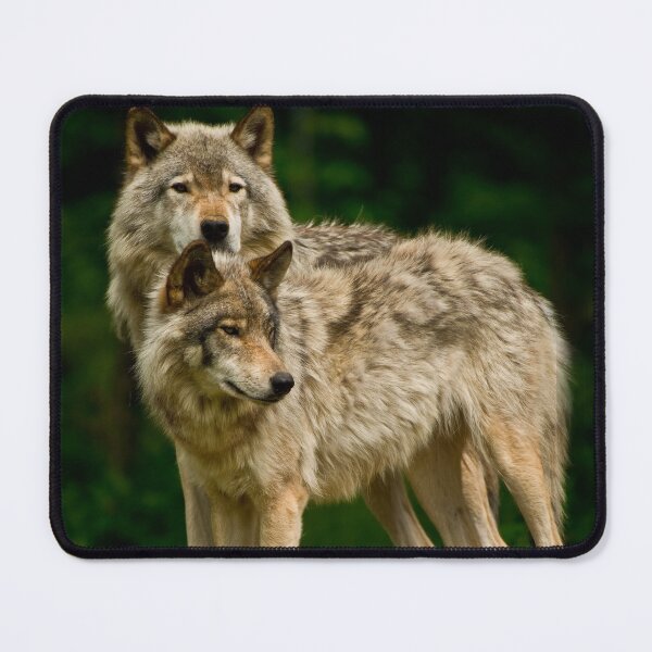 Item preview, Timber Wolves designed and sold by WolvesOnly.