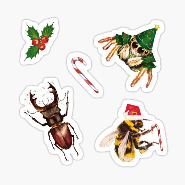 Christmas Bugs Pattern | Festive Insects and Spider Sticker