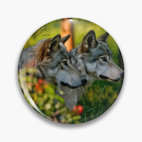 Item preview, Timber Wolves designed and sold by WolvesOnly.