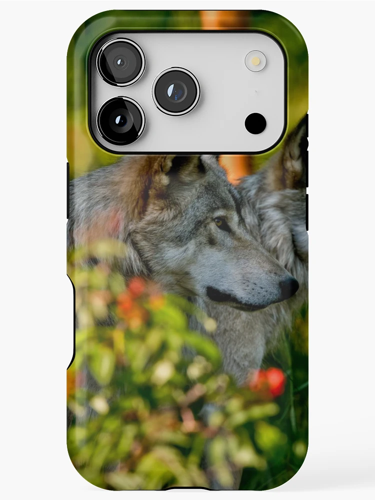 Thumbnail 1 of 4, iPhone Case, Timber Wolves designed and sold by WolvesOnly.