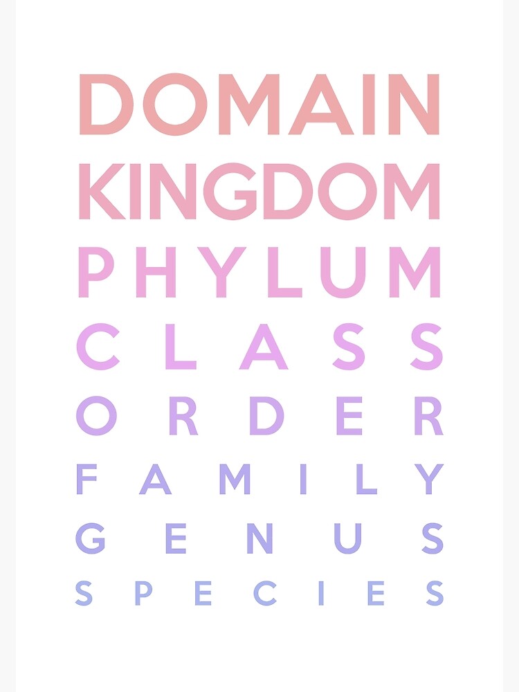 domain kingdom phylum class order family ___ species last