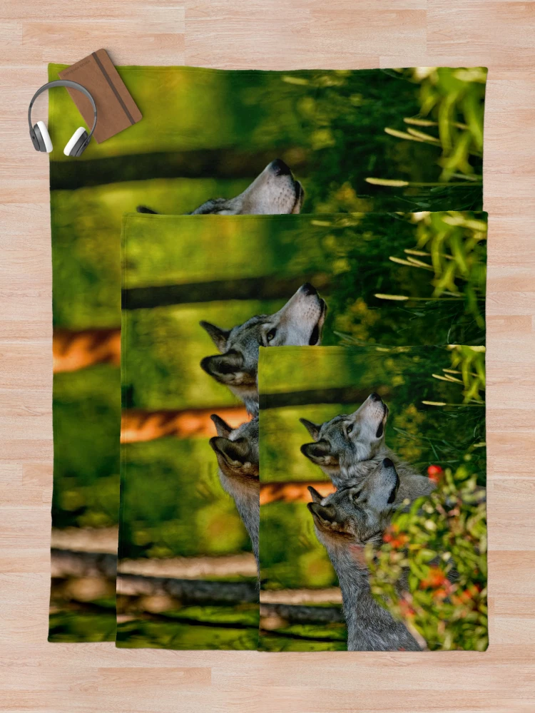 Thumbnail 5 of 6, Throw Blanket, Timber Wolves designed and sold by WolvesOnly.