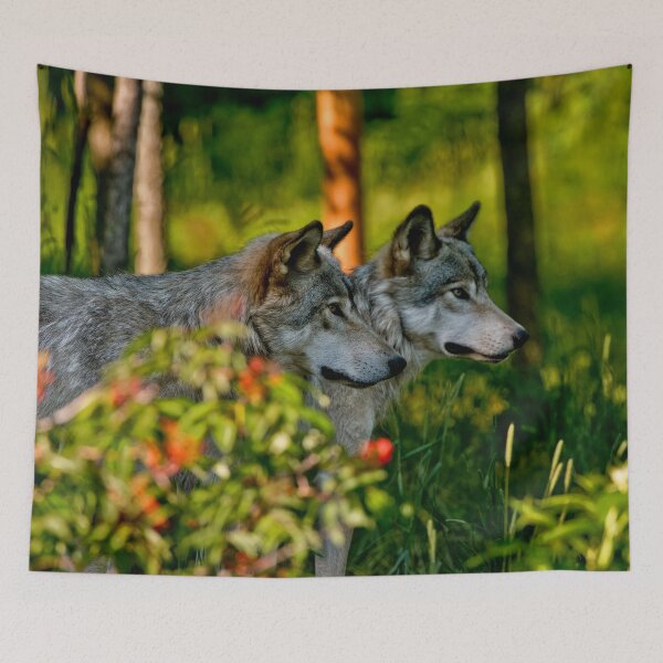 Item preview, Timber Wolves designed and sold by WolvesOnly.