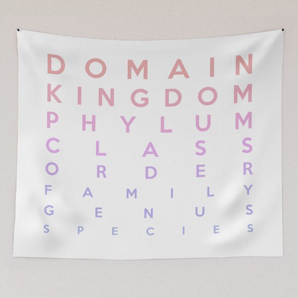 Item preview, Domain, Kingdom, Phylum, Class, Family, Genus, Species designed and sold by jezkemp.