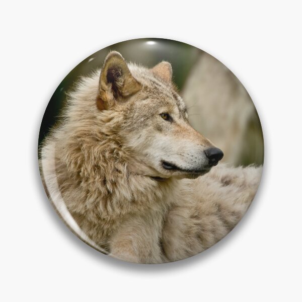 Item preview, Timber Wolves designed and sold by WolvesOnly.