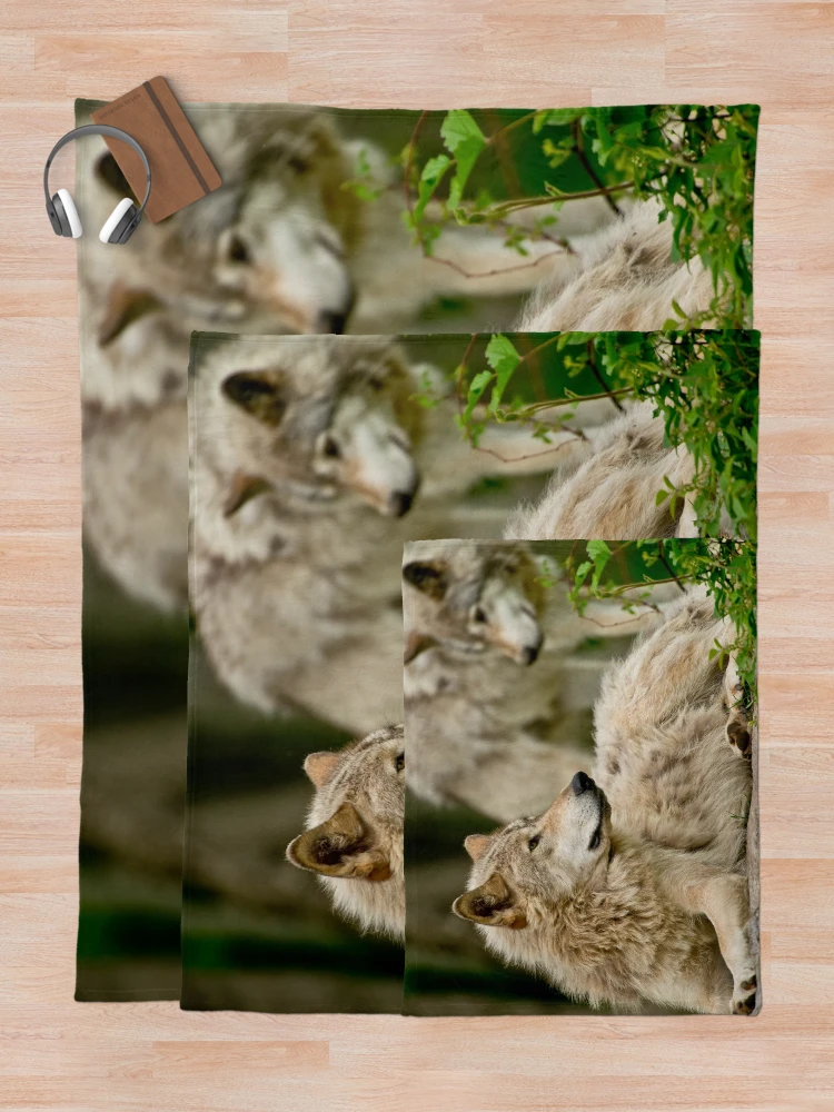 Thumbnail 5 of 6, Throw Blanket, Timber Wolves designed and sold by WolvesOnly.