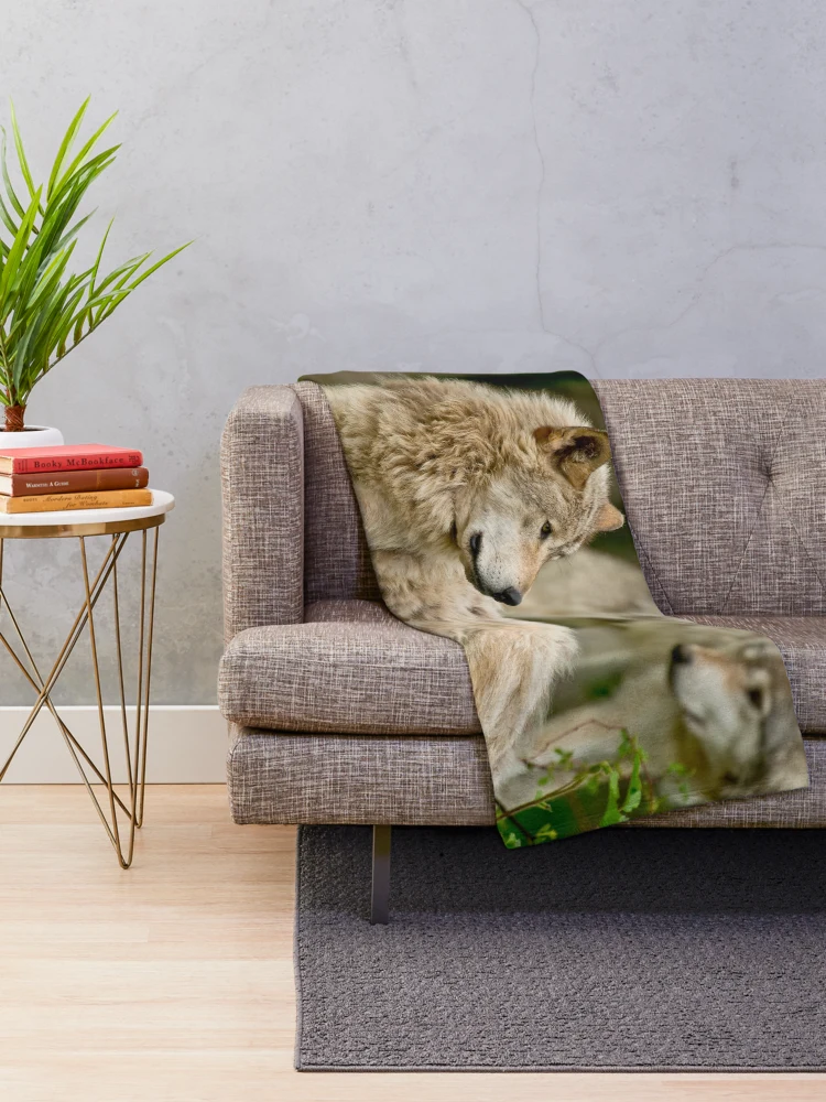 Thumbnail 2 of 6, Throw Blanket, Timber Wolves designed and sold by WolvesOnly.