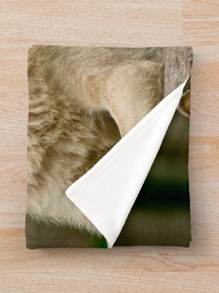 Thumbnail 3 of 6, Throw Blanket, Timber Wolves designed and sold by WolvesOnly.