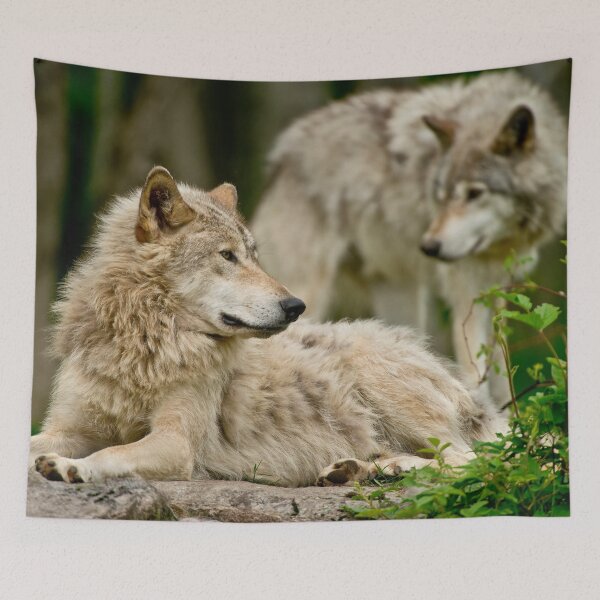 Item preview, Timber Wolves designed and sold by WolvesOnly.