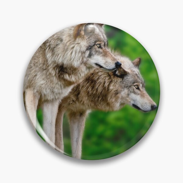 Item preview, Timber Wolves designed and sold by WolvesOnly.