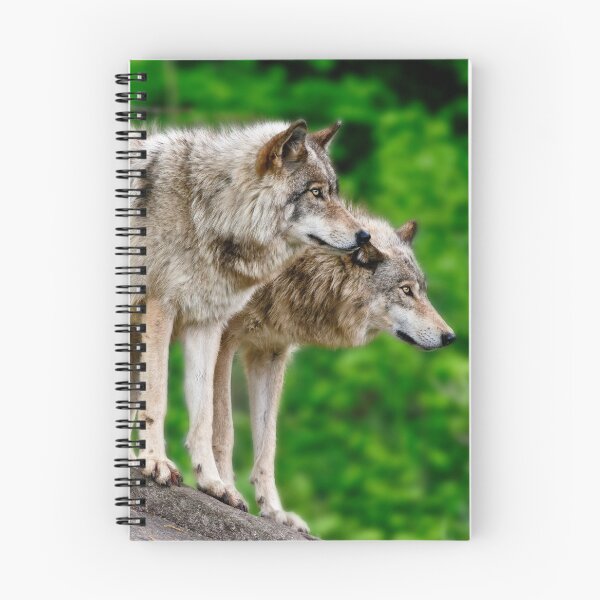 Artikelvorschau, Timber Wolves entworfen und verkauft von WolvesOnly.