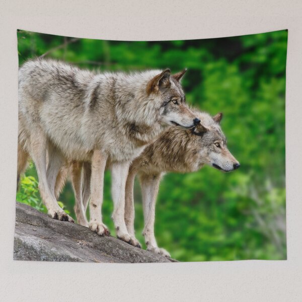 Artikelvorschau, Timber Wolves entworfen und verkauft von WolvesOnly.