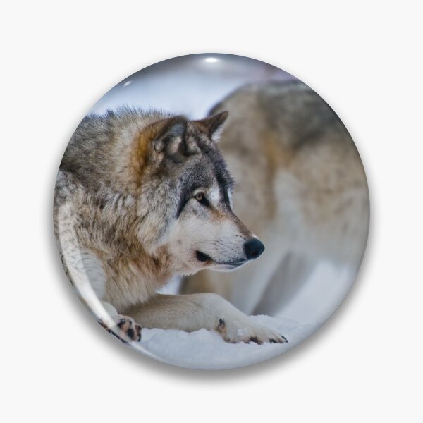 Artikelvorschau, Timber Wolves entworfen und verkauft von WolvesOnly.