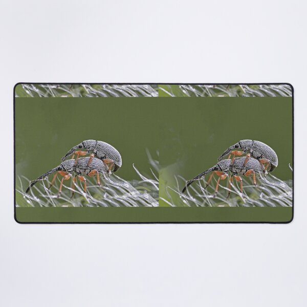 Item preview, New Finition 2020  r1531/  Insect 1  (c) (t) by Olao-Olavia / Okaio Créations  by fz 1000 2015 designed and sold by o.okaïo.