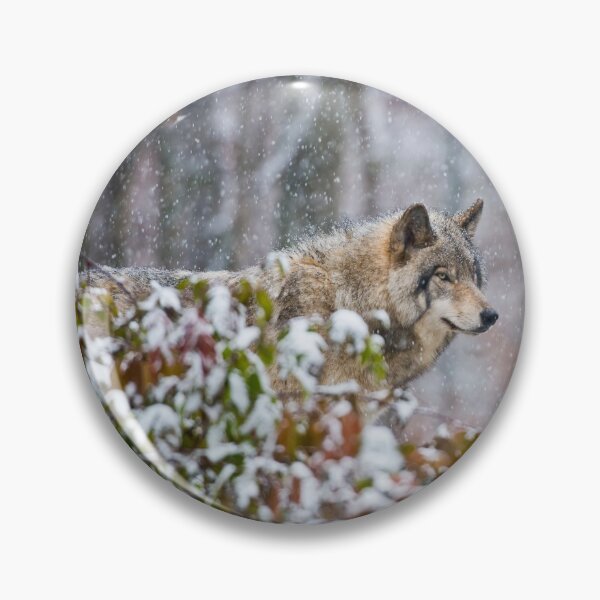 Artikelvorschau, Timber Wolf entworfen und verkauft von WolvesOnly.