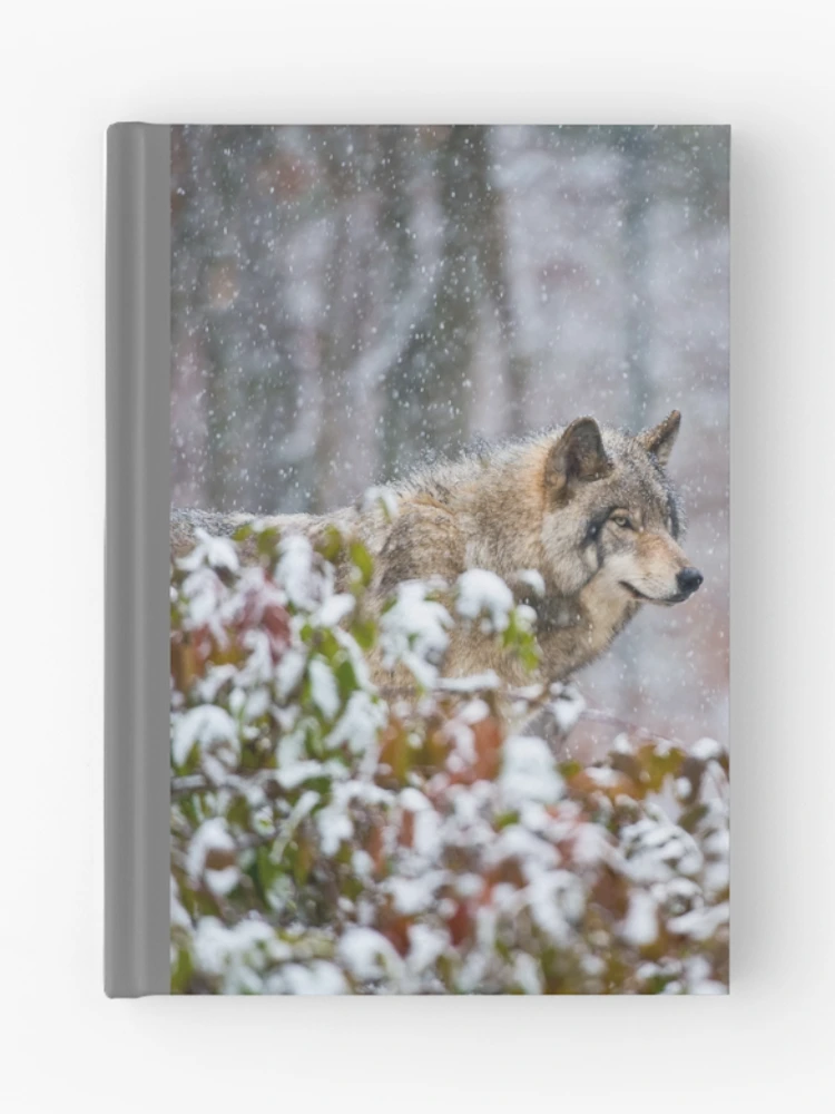 Thumbnail 1 of 3, Journal, Timber Wolf designed and sold by WolvesOnly.