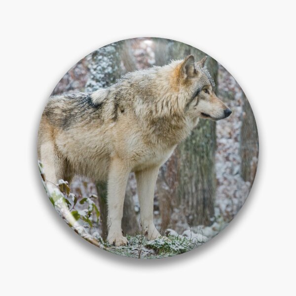 Item preview, Timber Wolf designed and sold by WolvesOnly.