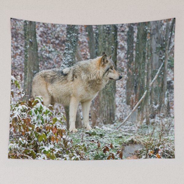 Item preview, Timber Wolf designed and sold by WolvesOnly.