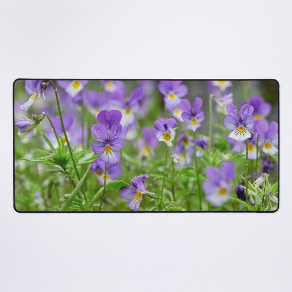 Item preview, Wild pansy field designed and sold by Jouko Lehto Photography.