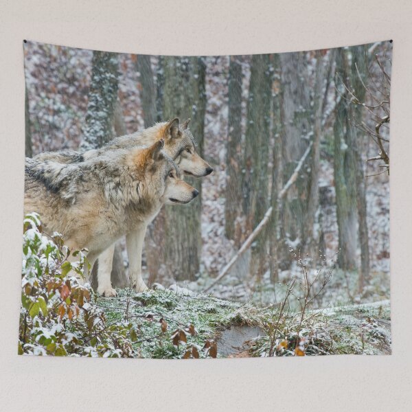 Tapestry