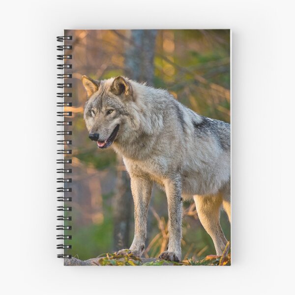 Artikelvorschau, Holzwolf entworfen und verkauft von WolvesOnly.
