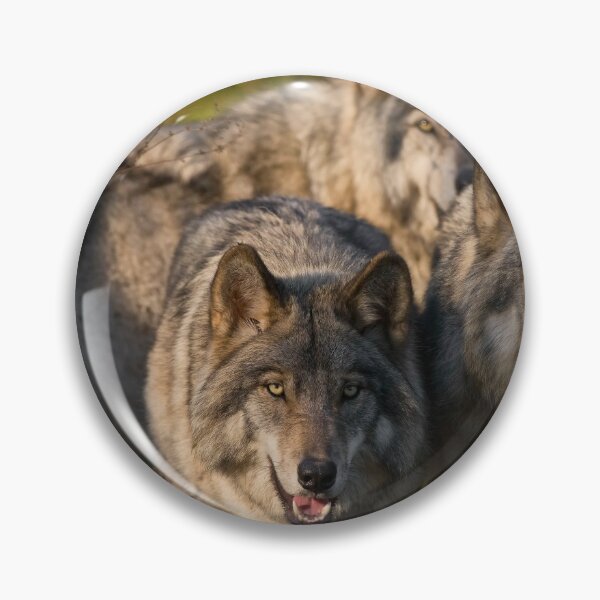 Item preview, Timber Wolves designed and sold by WolvesOnly.